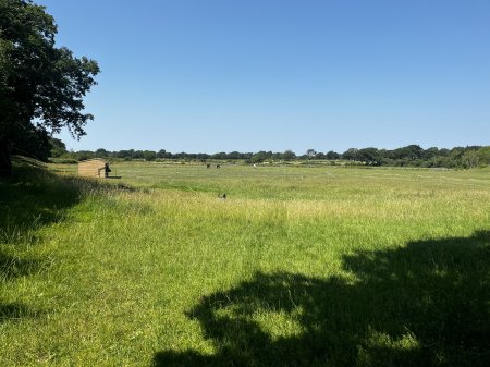 Photo for ad 186726