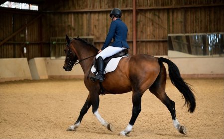 Photo for ad 191033